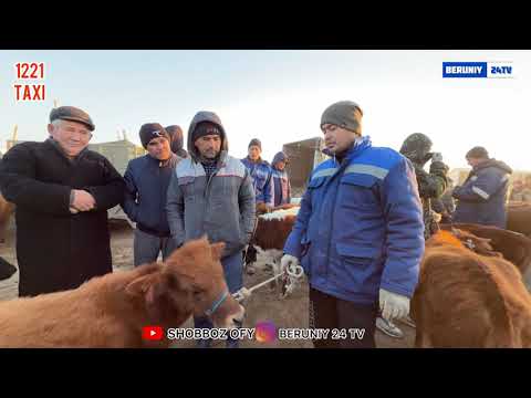 Видео: БЕРУНИЙ УЖАК БОЗОРИ 2 КИСМ 09.11.2025