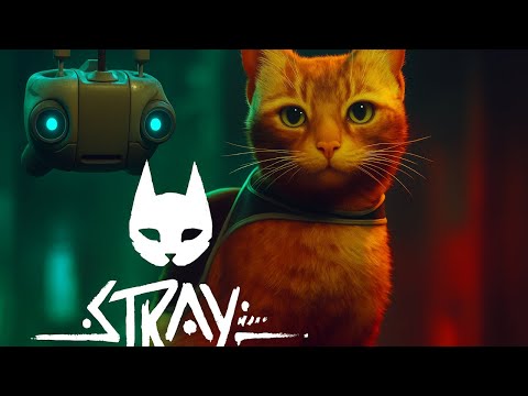 Видео: Stray: У меня появился друг! #2