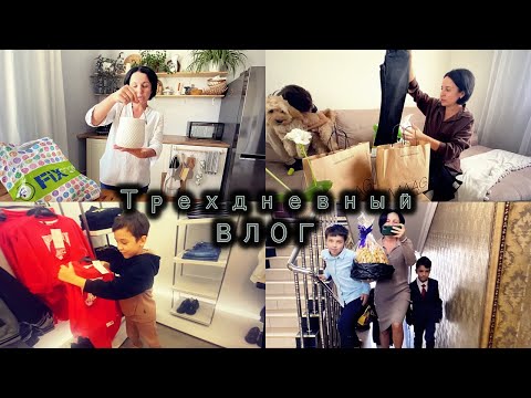 Видео: ВЛОГ трехдневный / Бытовые дела / Покупки к школе / Покупки для дома  / День рождения