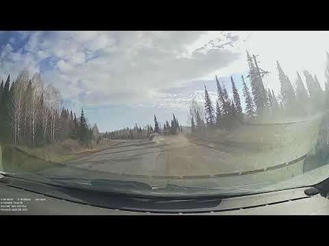 Видео: Ездьба 21.10.2025 от р. Топкуша до почти Черемшанки, ВКО