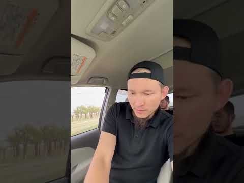 Видео: Чапаев трасса