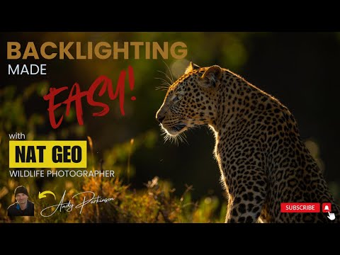 Видео: Снимайте подсветку ПРОЩЕ! Советы от фотографа NAT GEO...