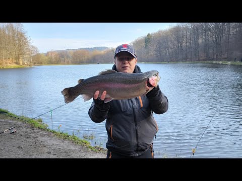 Видео: Весенняя рыбалка ! Красный жирный лакс форель!