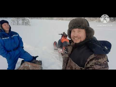 Видео: В тайгу,бьем путик до избы.Снегоход Ирбис и мотособака в деле.