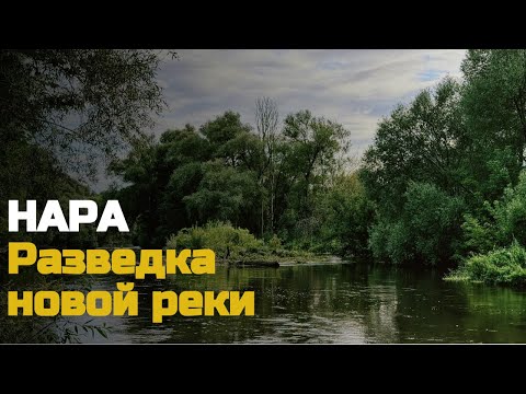 Видео: В поисках голавля на новой реке. Нара.