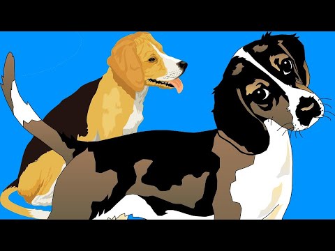 Видео: 🙈 🐾ЖИВОТНЫЕ и ПТИЦЫ 🐦 на иврите 🦉🐴