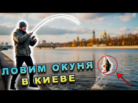 Видео: Эта приманка спасла мою рыбалку