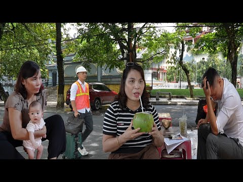Видео: Туан увольняется с работы, чтобы найти дедушку на юге: Ха в шоке и пытается его остановить