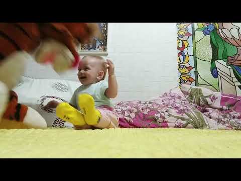 Видео: тигр VS сестрёнки Даши