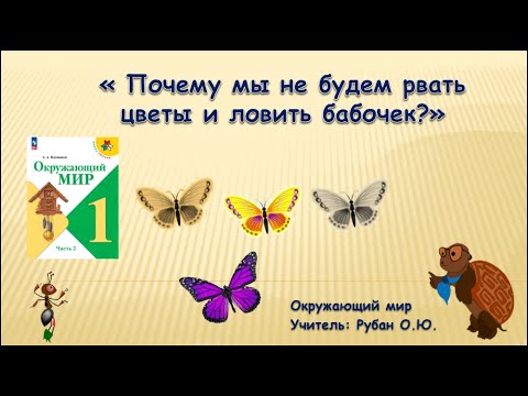 Видео: Почему мы не будем рвать цветы и ловить бабочек