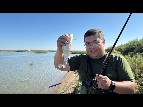 Видео: Рыбалка на Маншуке/Cправа от моста