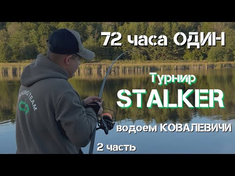 Видео: Испытание для ОДИНОЧКИ: Карпфишинг в формате STALKER на водоеме Ковалевичи | Часть 2