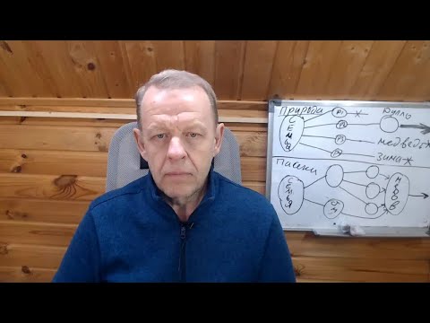 Видео: Естественное роение в природе. На пасеке для пчёл естественно деление на пол-лёта