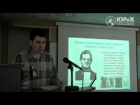 Видео: М.В. Винарский Правило Бергмана ИЭРиЖ 2016