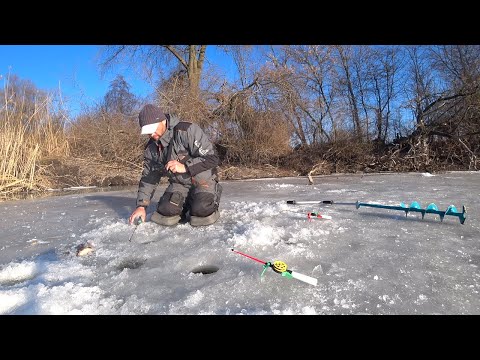 Видео: НАШЕЛ САЗАНА В КОРЯЖНИКЕ!  рыбалка на сазана - карпа и крупного карася зимой.