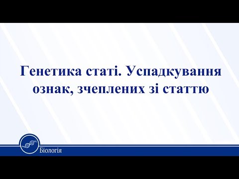 Видео: Генетика статі. Успадкування ознак, зчеплених зі статтю. Біологія 11 клас