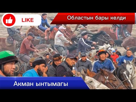 Видео: Акман ынтымак улагы