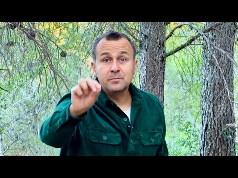 Видео: ВЯРАТА❗️