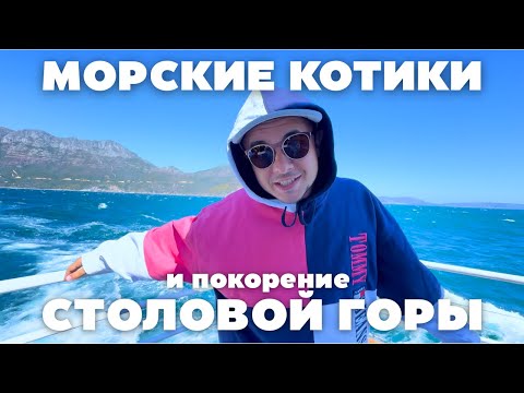 Видео: КЕЙПТАУН - ЧТО ПОСМОТРЕТЬ | МОРСКИЕ КОТИКИ | СТОЛОВАЯ ГОРА | МУЗЕЙ СОВРЕМЕННОГО ИСКУССТВА