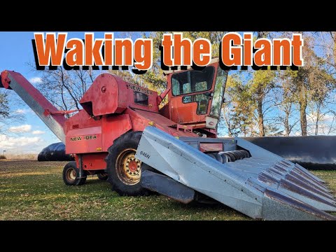 Видео: Осенний день на молочной ферме/Получение новой идеи в Университете бега/Перегонка телят/Измельчен...