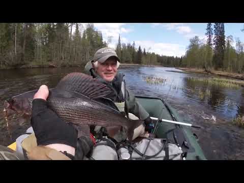 Видео: Сплав, рыбалка на реке Кепина. Май 2023