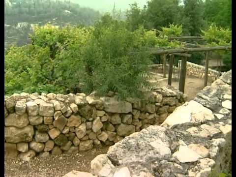 Видео: Мир Библии - 01. География, климат и сельское хоз...