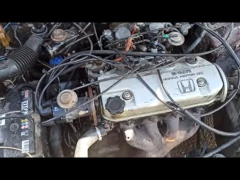 Видео: Хонда. Фазы. Два Карба.