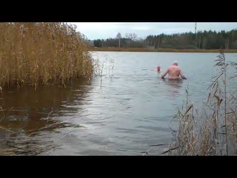 Видео: 18,11,2024 / Ну просто праздник какой-то.