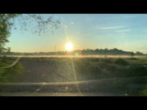 Видео: Річка Дністер.