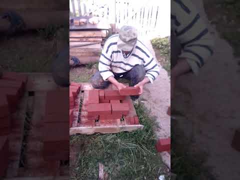 Видео: кладка выдры