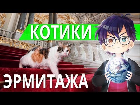 Видео: КОТЫ И КОШКИ ЭРМИТАЖА В САНКТ-ПЕТЕРБУРГЕ // Я Короче Узнал