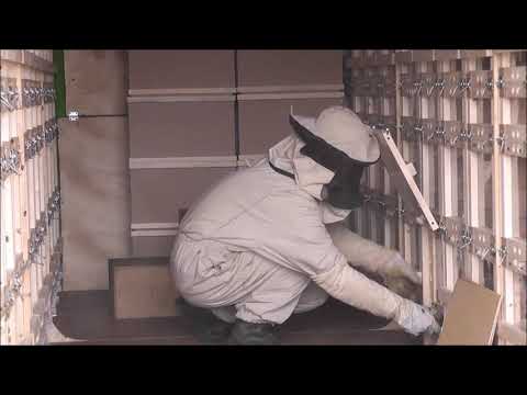 Видео: заселение пчелопавильона Берендей-3Д дадановскими узбекскими пакетами