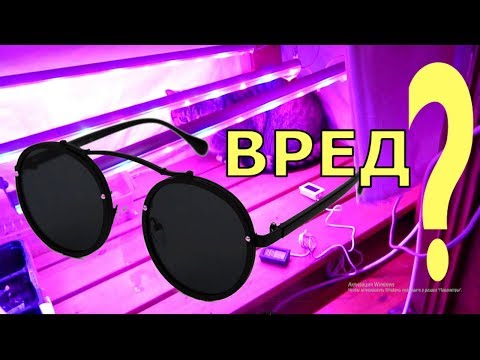 Видео: Есть ли ВРЕД ОТ ФИТОЛАМП. Влияние спектра
