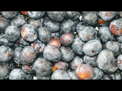 Видео: Традиционное варенье из слив в духовке + Соус от Наталии Темчинской