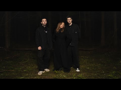 Видео: Settlers — По камушку (Live)