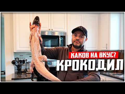 Видео: Я ПРИГОТОВИЛ ЦЕЛОГО АЛЛИГАТОРА! СЛАБОНЕРВНЫМ НЕ СМОТРЕТЬ!
