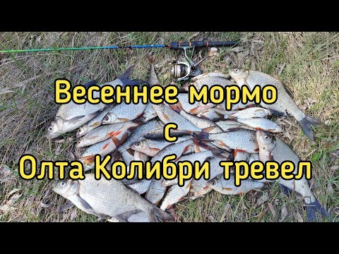 Видео: Плотва гнёт спиннинг! Весеннее мормо с Олта Колибри тревел 185 см. 0.1 - 0.8 гр.