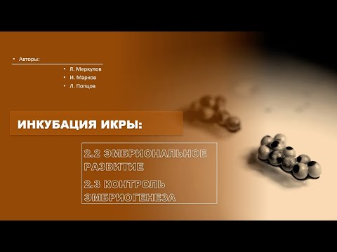Видео: Эмбриональное развитие осетровых в процессе инкубации икры
