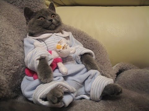 Видео: АСМР ASMR Женские имена шепотом, расслабляющее видео