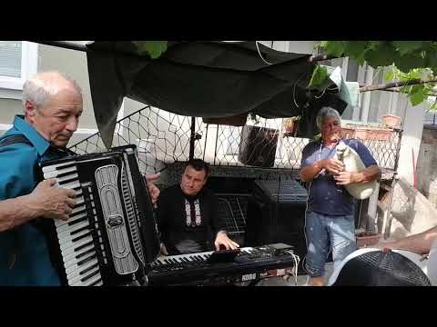 Видео: Величко Т. Икономово