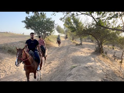 Видео: АСП САВОРИ ,ПАРК ПОБЕДА,АЙ АСП ГАЛТИД
