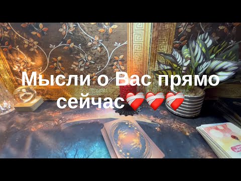 Видео: 12 ноября 2025 г.