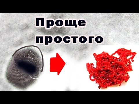 Видео: Как проще всего намыть (добыть) мотыля зимой