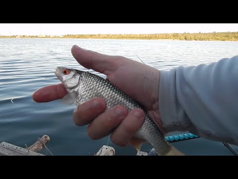 Видео: Мой первый раз на ФЛЭТ