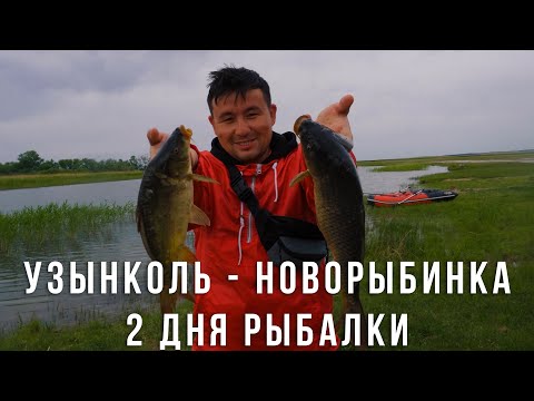 Видео: 3 дня рыбалки на карпа | Узынколь vs Новорыбинка | Городские на рыбалке | 11 выпуск