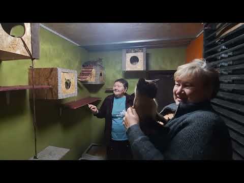 Видео: У нас в гостях подписчица из Челябинска.