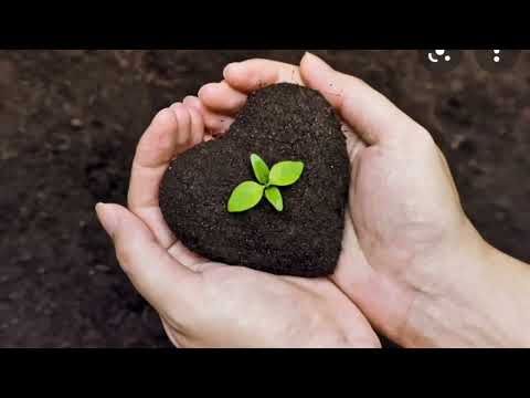 Видео: жаратылыстану 3 сынып Топырақтың құрамы