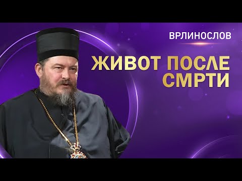 Видео: Врлинослов - Живот после смрти, Епископ липљански г. Доситеј