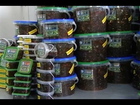 Видео: Как Делают морскую капусту