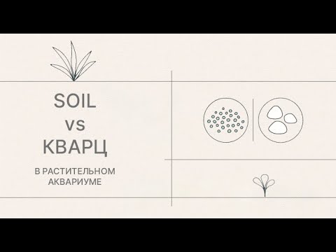 Видео: Какой грунт выбрать для аквариума с растениями? Нейтральный кварц или питательный Soil?